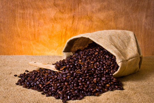 What is Arabica Coffee? Understanding Its Flavour & Coffee Blends